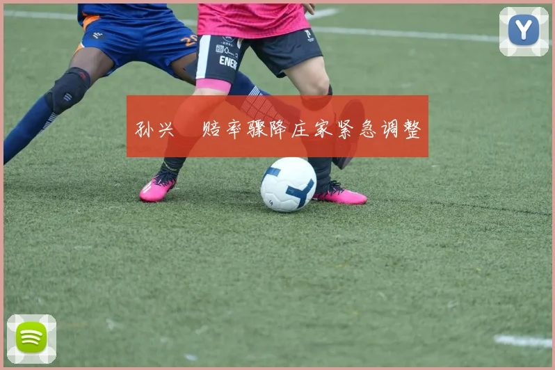 孙兴慜赔率骤降庄家紧急调整