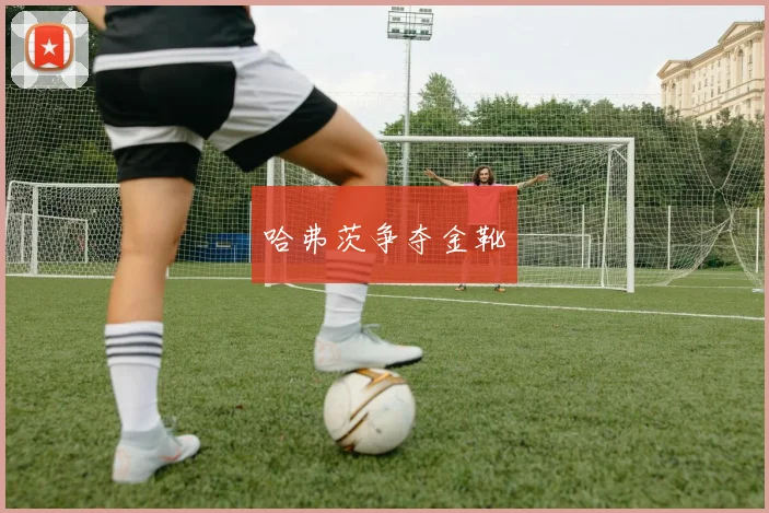 哈弗茨争夺金靴