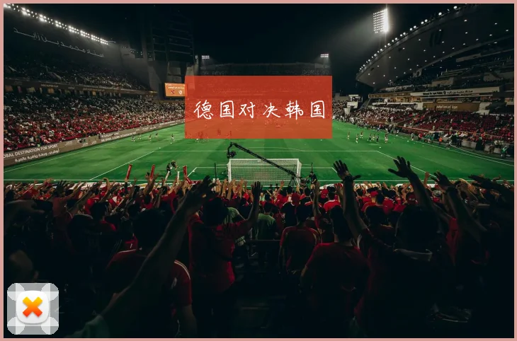 德国对决韩国