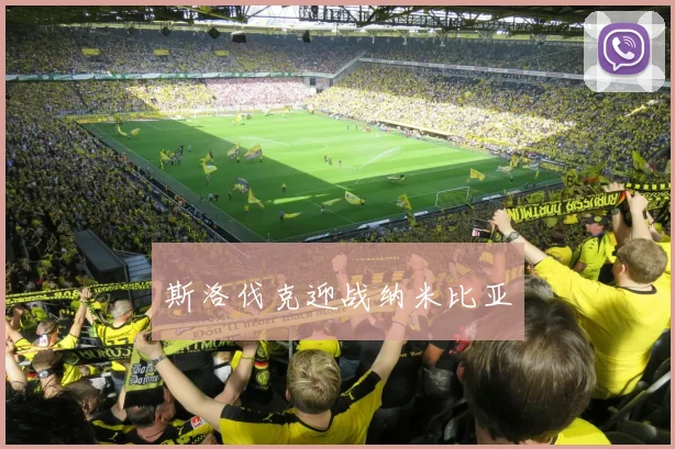 斯洛伐克迎战纳米比亚