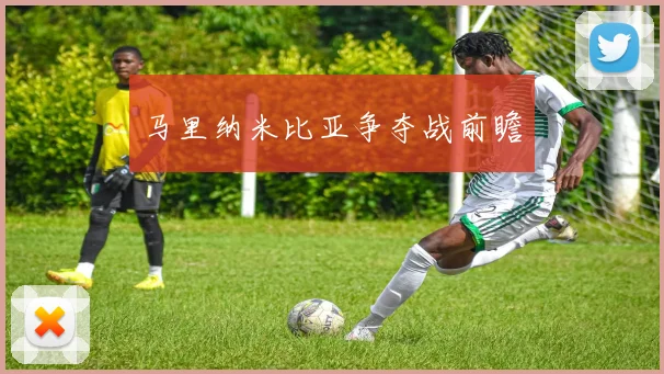 马里纳米比亚争夺战前瞻