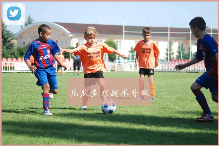 厄瓜多尔战术升级