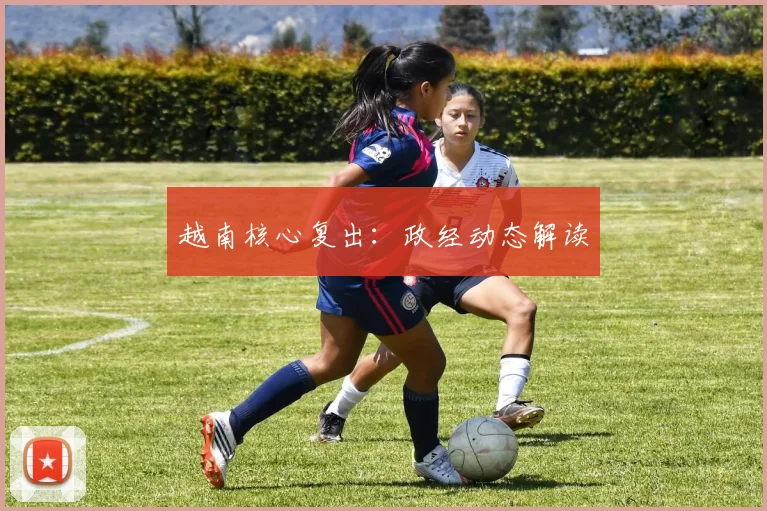 越南核心复出:政经动态解读