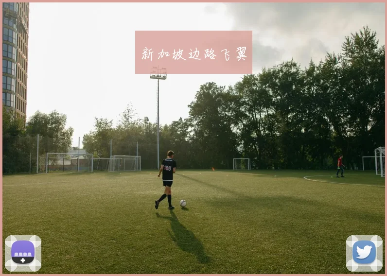 新加坡边路飞翼