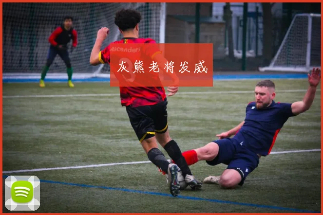 灰熊老将发威