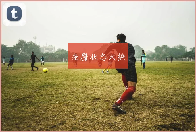 老鹰状态火热