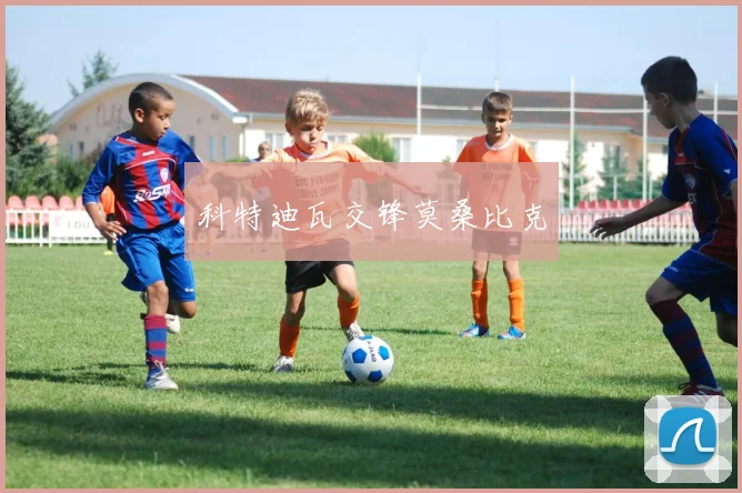 科特迪瓦交锋莫桑比克