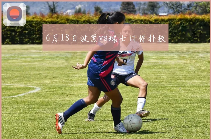 6月18日波黑vs瑞士门将扑救