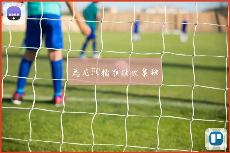 悉尼FC精准助攻集锦