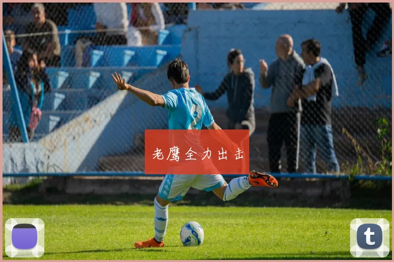 老鹰全力出击