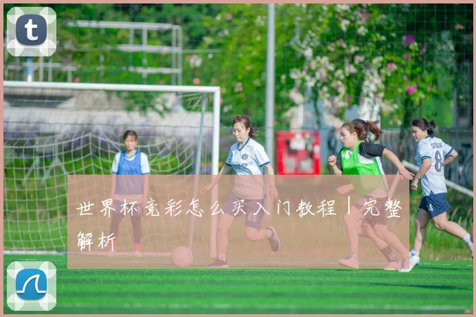 世界杯竞彩怎么买入门教程｜完整解析