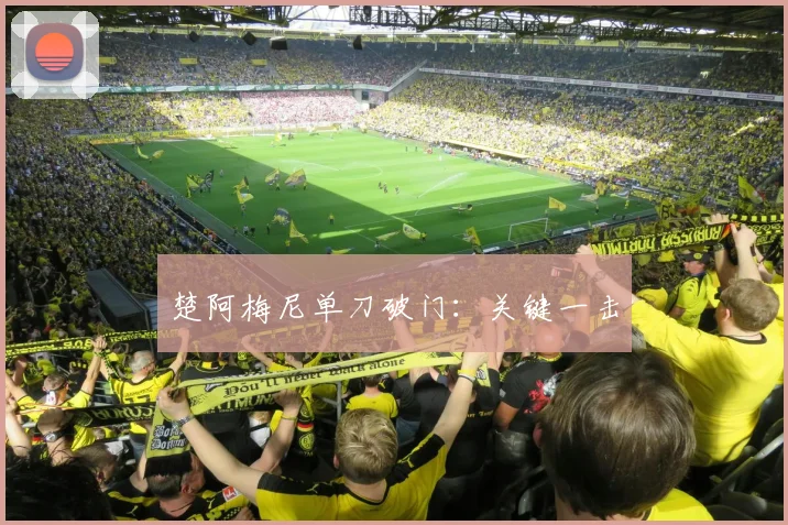 楚阿梅尼单刀破门：关键一击