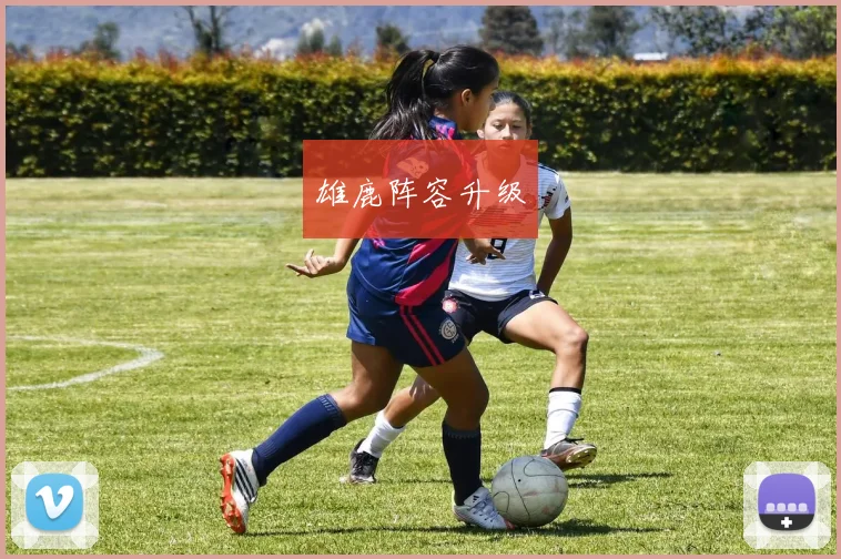 雄鹿阵容升级