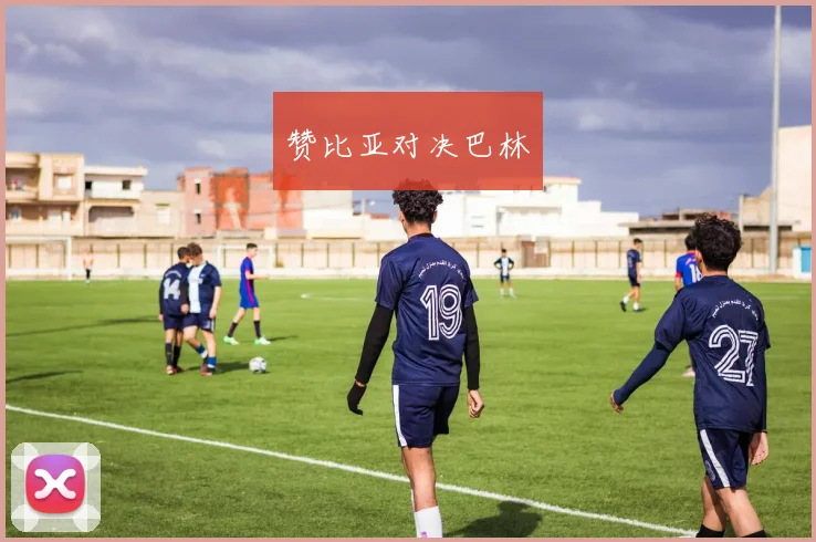 赞比亚对决巴林