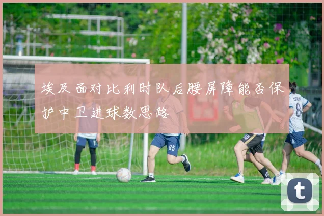 埃及面对比利时队后腰屏障能否保护中卫进球数思路