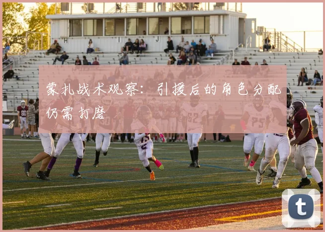 蒙扎战术观察：引援后的角色分配仍需打磨