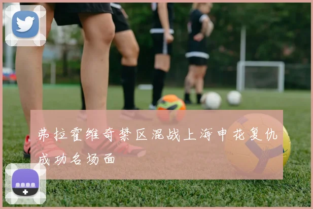 弗拉霍维奇禁区混战上海申花复仇成功名场面